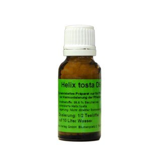 (image for) Helix tosta - Homeoplant