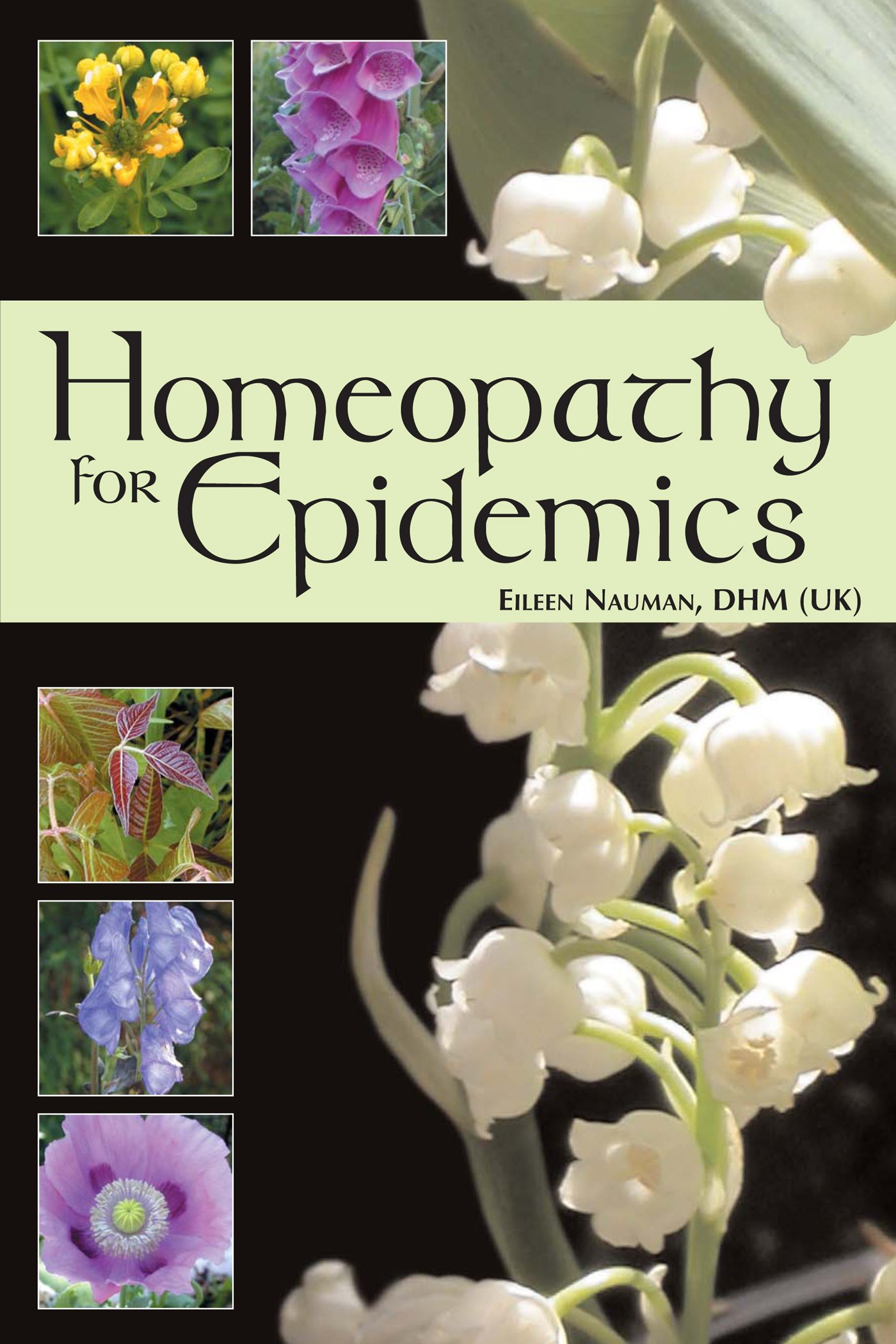 Homeopathy for Epidemics (image for) Homeopathy for Epidemics