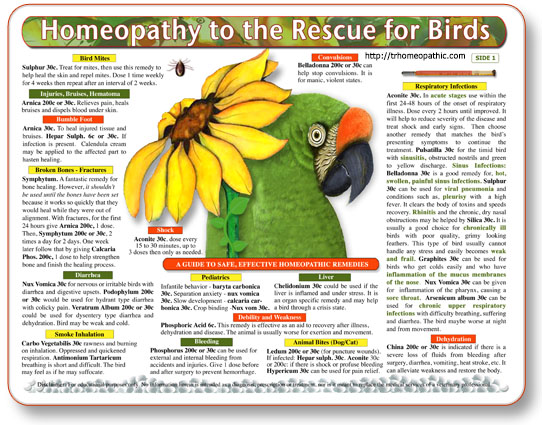 (image for) Homeopathy to the Rescue for Birds chart/poster