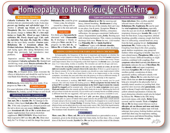 (image for) Homeopathy for Chickens chart/poster - Click Image to Close