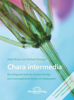 (image for) Chara intermedia