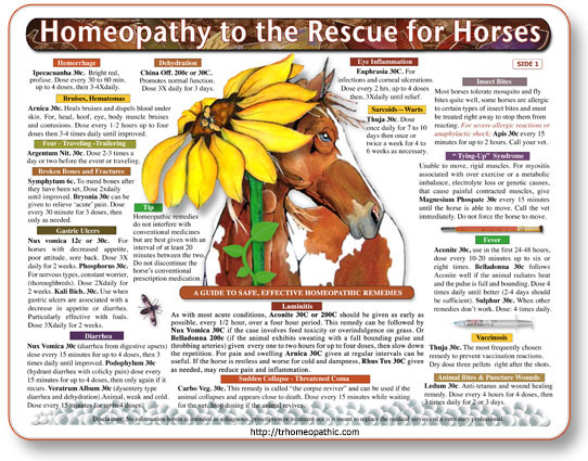 (image for) Homeopathy to the Rescue for Horses chart/poster