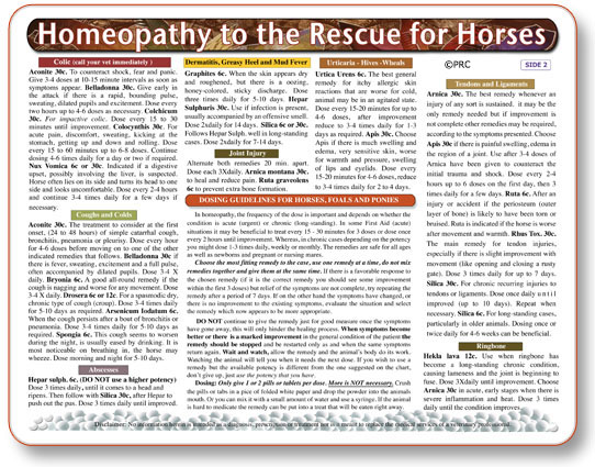 (image for) Homeopathy to the Rescue for Horses chart/poster - Click Image to Close